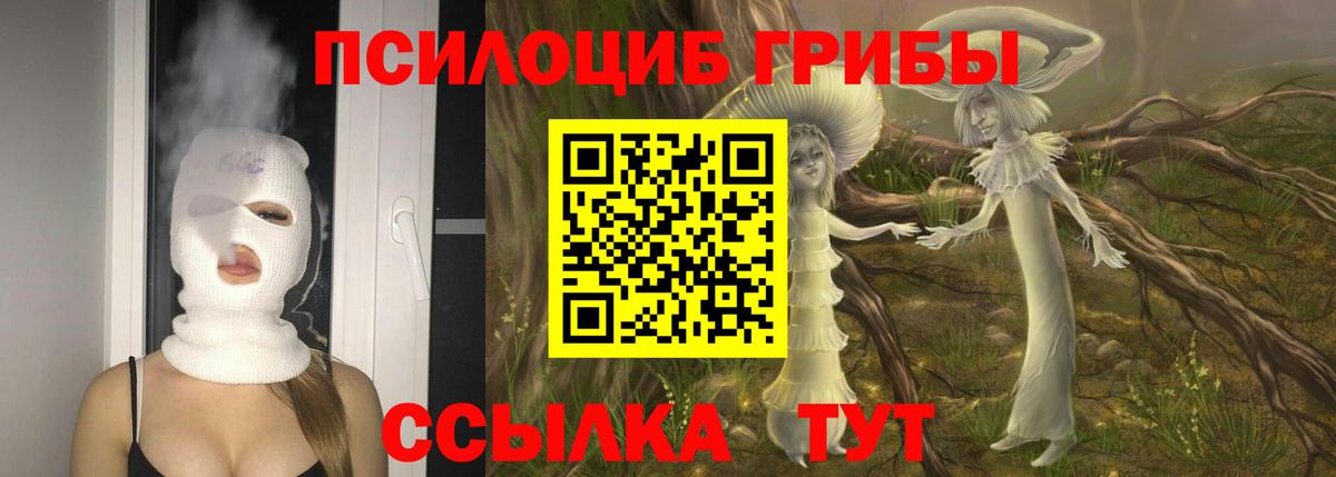 Галлюциногенные грибы Magic Shrooms  Вход с VPN  Соль-Илецк 